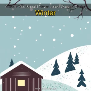Artistic representation for 9 Items You Should Never Leave Outside During Winter