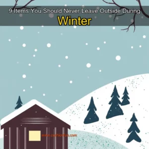 Read more about the article 9 Items You Should Never Leave Outside During Winter